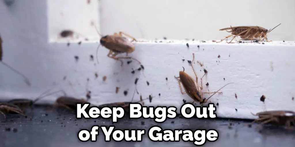 Keep Bugs Out of Your Garage