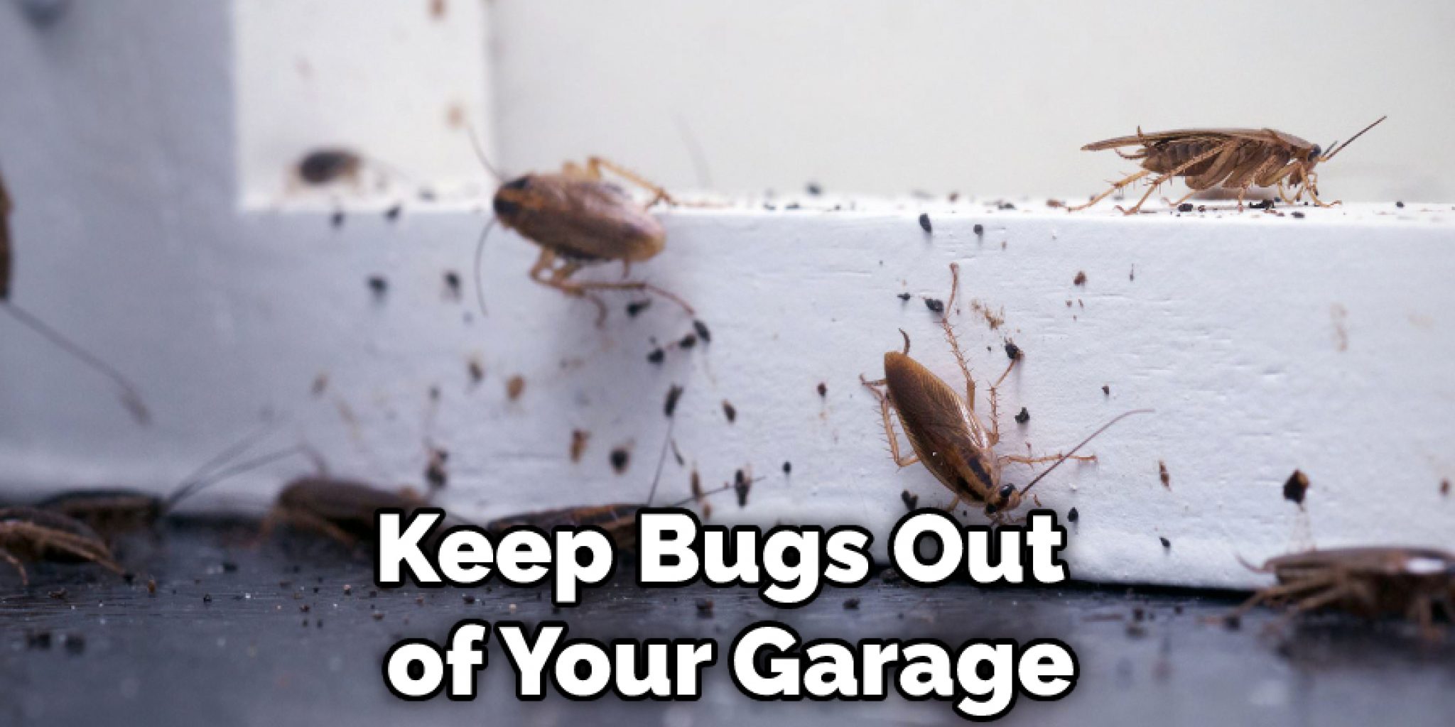 how-to-keep-bugs-out-of-garage-at-night-17-steps-2024