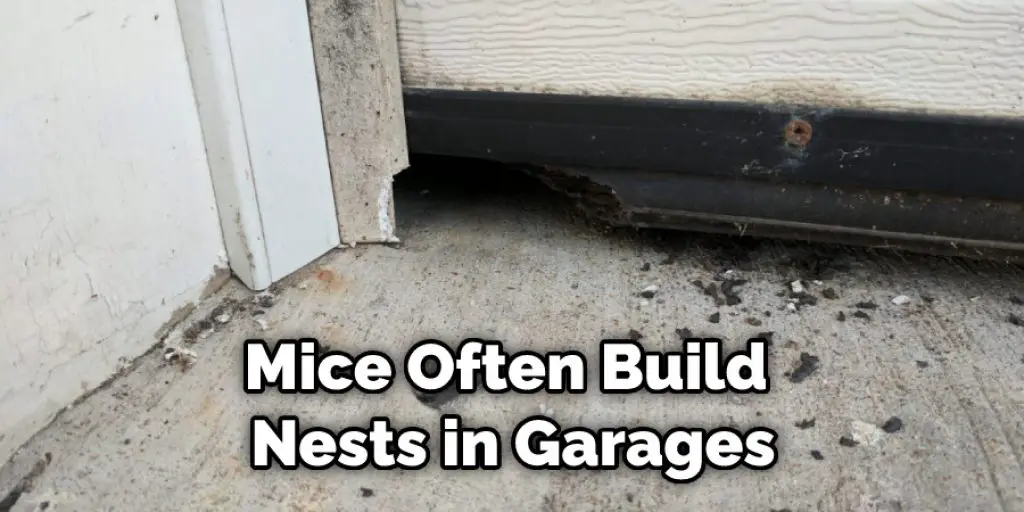 Mice Often Build Nests in Garages