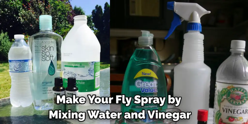 Make Your Fly Spray by  Mixing Water and Vinegar