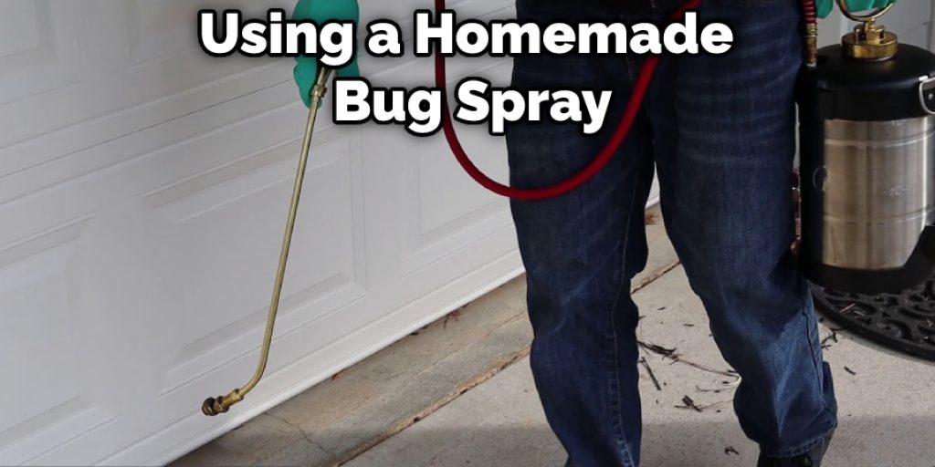 Using a Homemade Bug Spray
