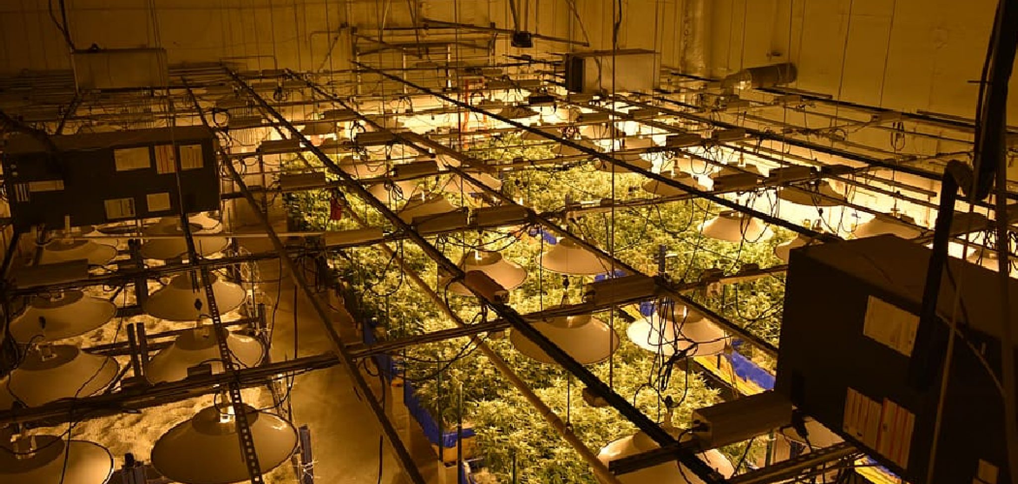 How To Build A Grow Room In A Garage 18 Effective Steps