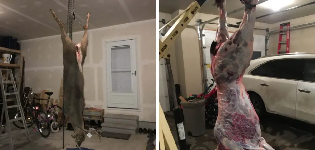 How to Hang a Deer in Garage