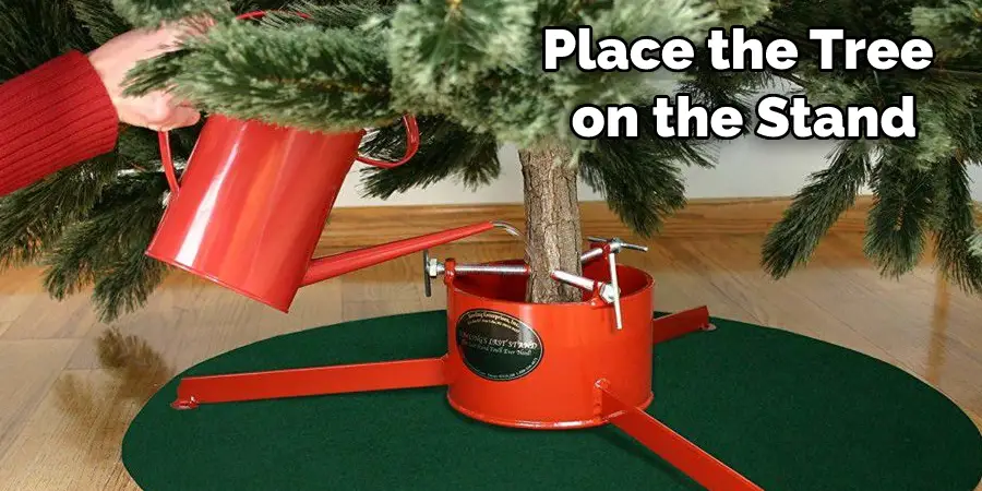 Place the Tree  on the Stand