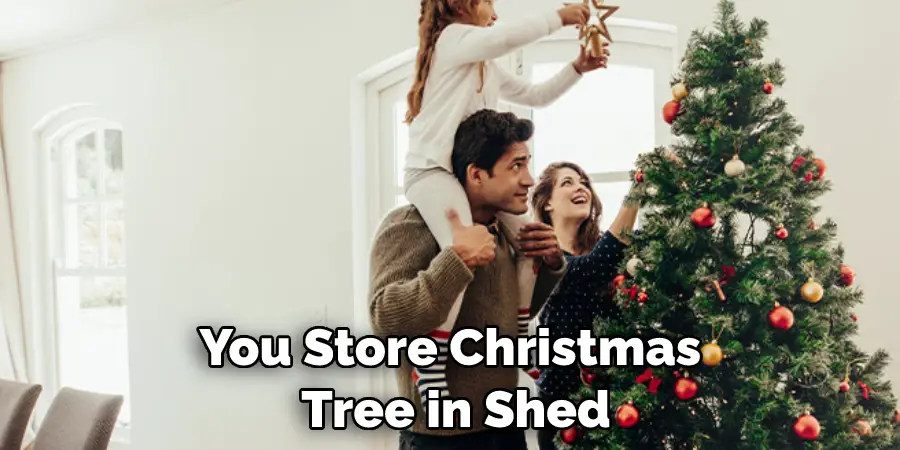 You Store Christmas Tree in Shed