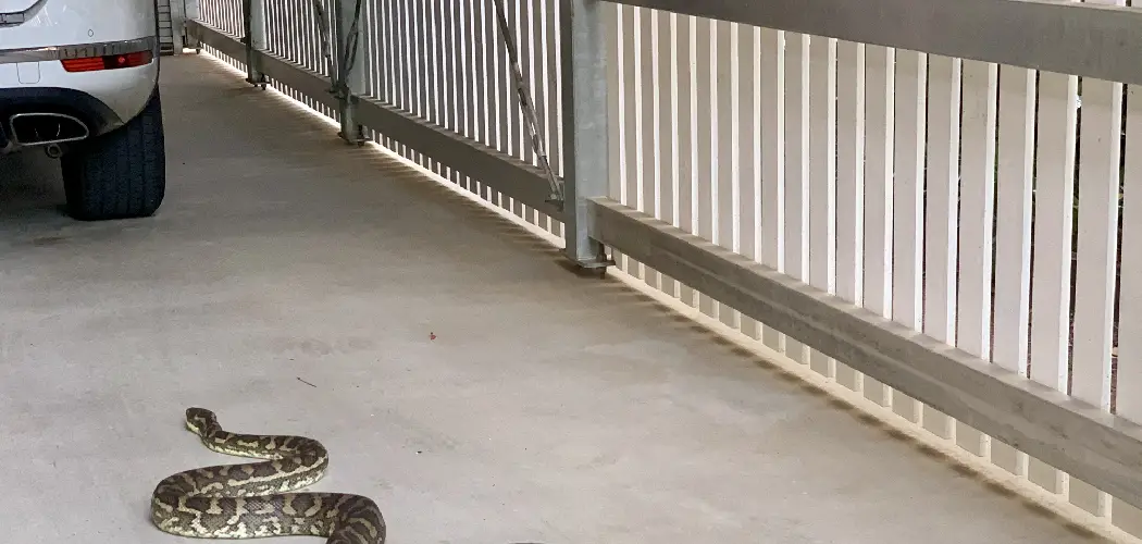 How to Snake Proof Your Garage