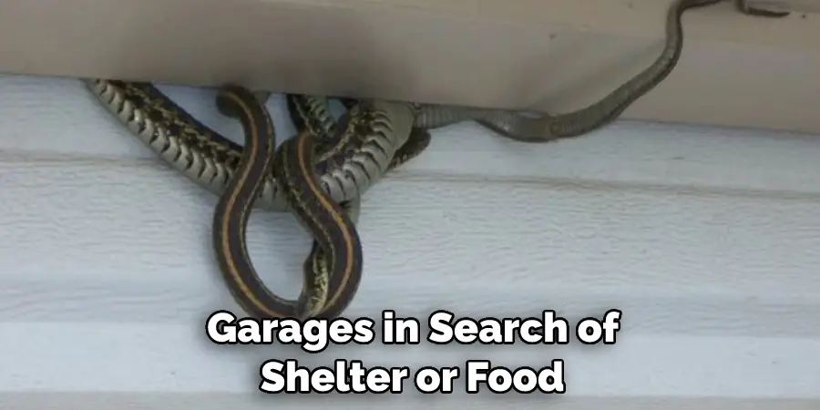  Garages in Search of  Shelter or Food