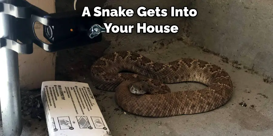 A Snake Gets Into  Your House