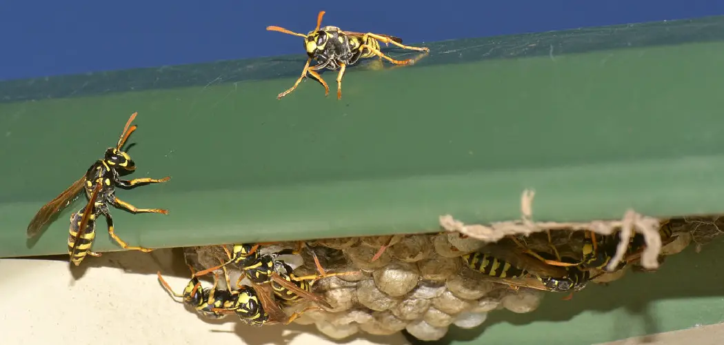 How to Keep Wasps Out of Garage