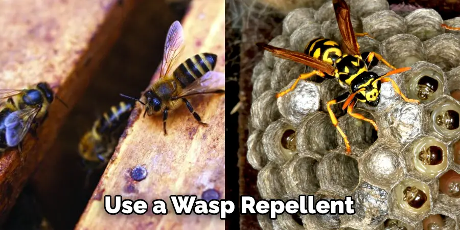 How to Keep Wasps Out of Garage | 12 Easy Ways (2022)