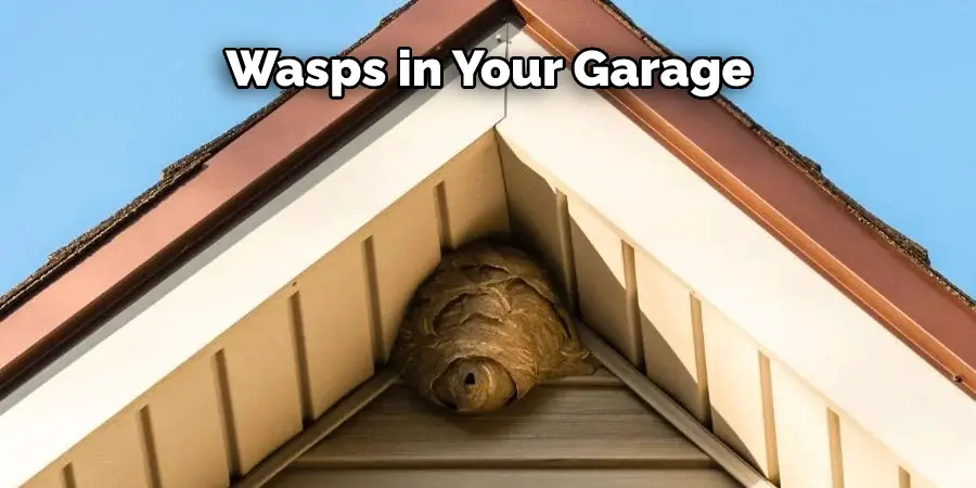 Wasps in Your Garage
