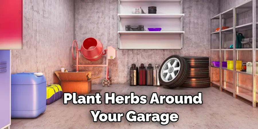 Plant Herbs Around  Your Garage