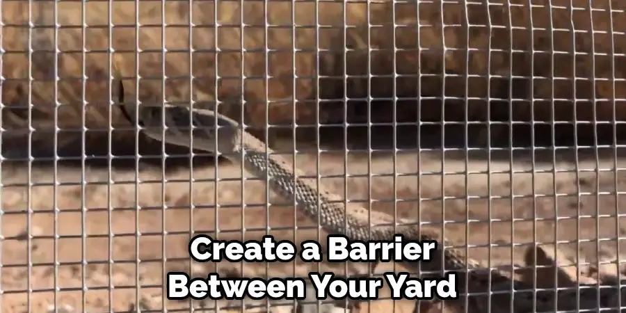 Create a Barrier Between Your Yard