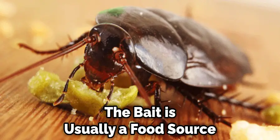 The Bait is Usually a Food Source