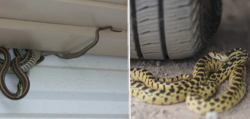how to keep snakes out of your garage