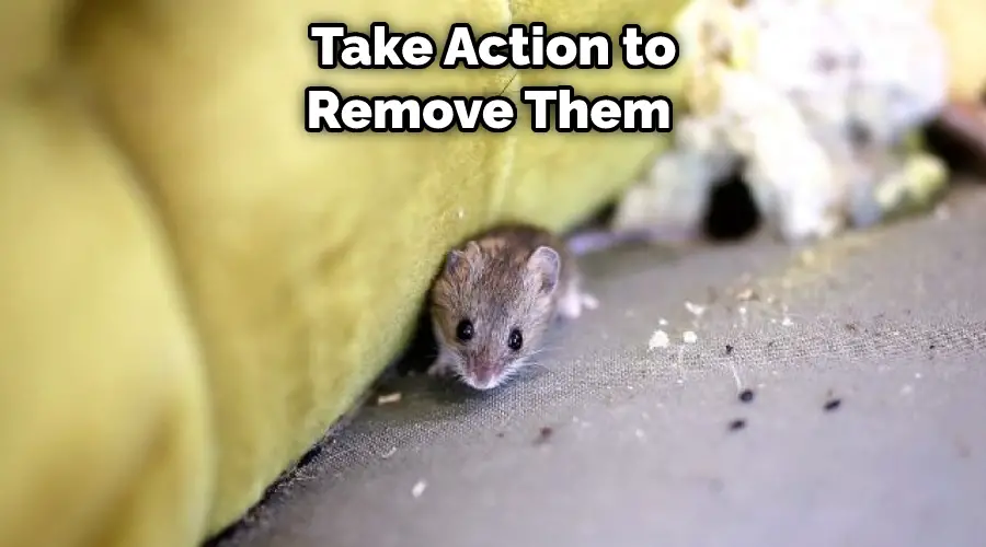  Take Action to Remove Them