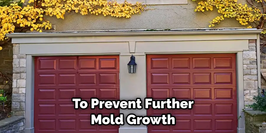 To Prevent Further Mold Growth