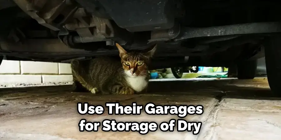 Use Their Garages for Storage of Dry