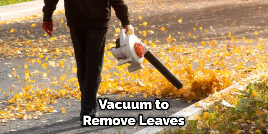 Vacuum to Remove Leaves