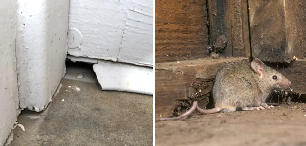 How to Seal Garage Door From Mice