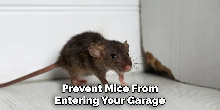 Prevent Mice From Entering Your Garage