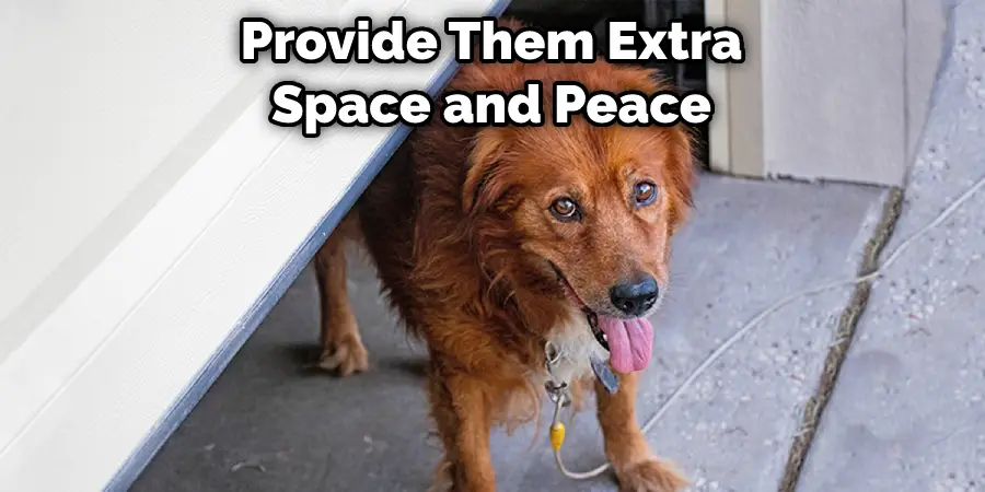 Provide Them Extra Space and Peace