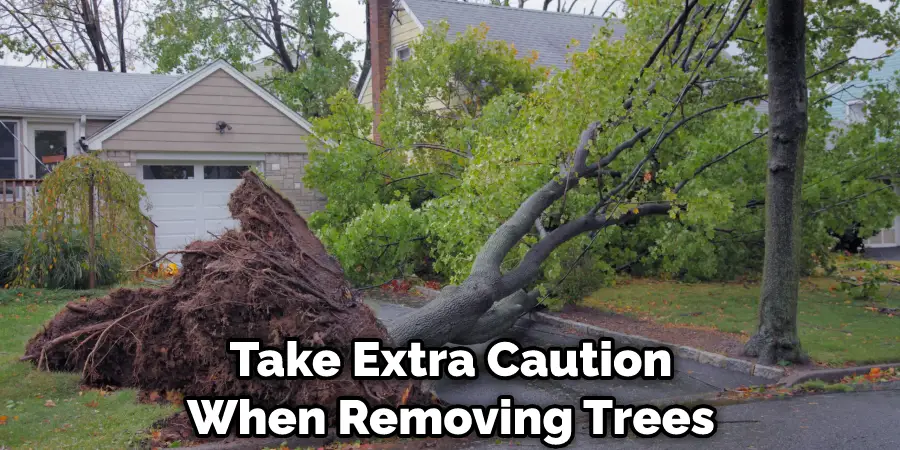 Take Extra Caution When Removing Trees