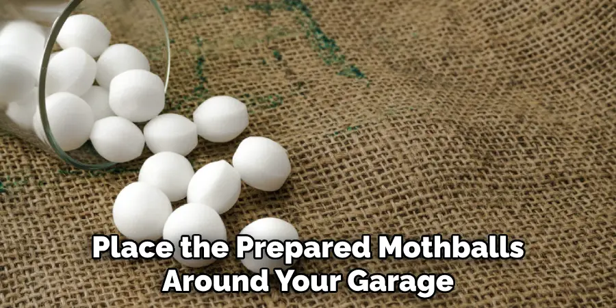 Place the Prepared Mothballs Around Your Garage