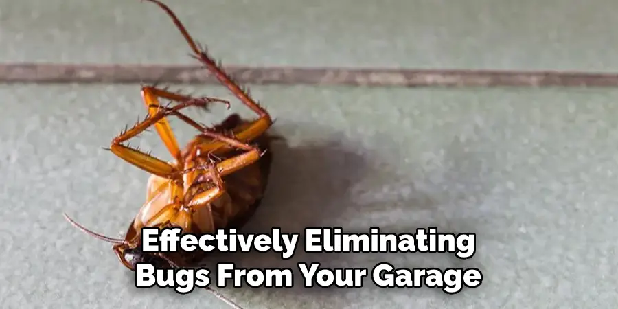 Effectively Eliminating Bugs From Your Garage