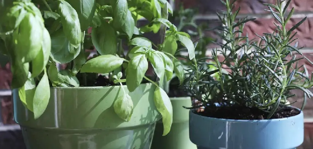 How to Keep Plants Warm in Garage