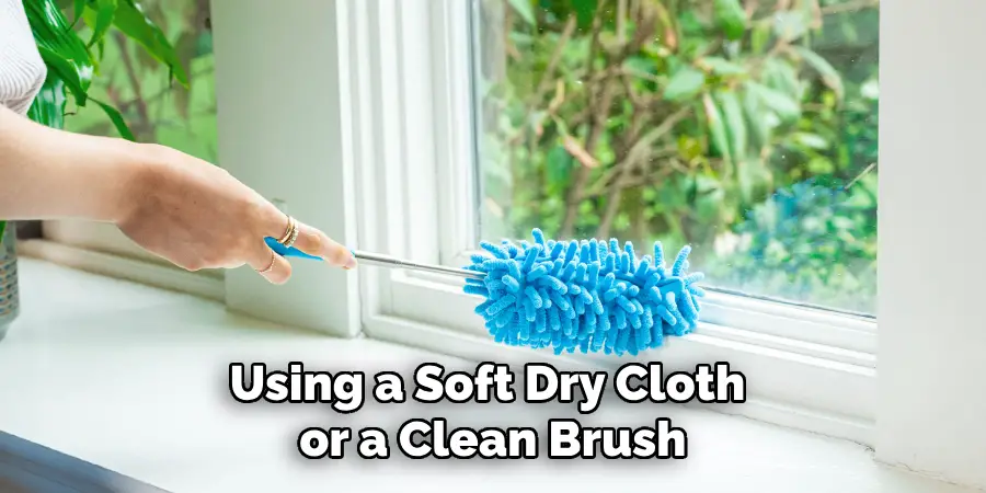Using a Soft Dry Cloth or a Clean Brush