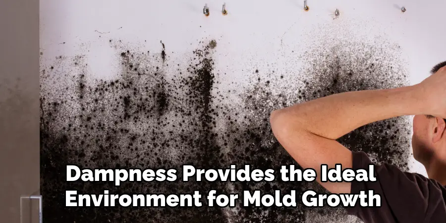 Dampness Provides the Ideal Environment for Mold Growth