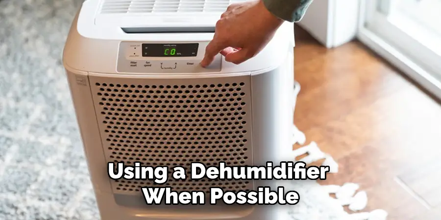 Using a Dehumidifier When Possible