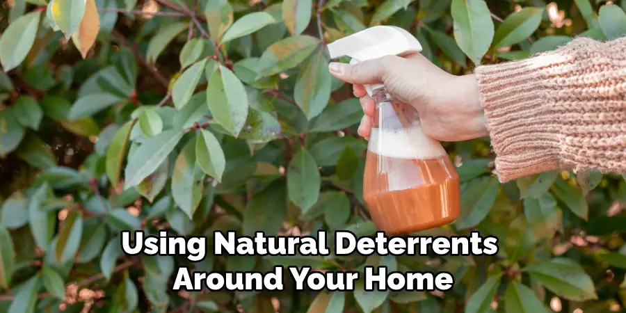 Using Natural Deterrents Around Your Home