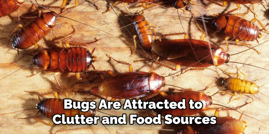 Bugs Are Attracted to Clutter and Food Sources