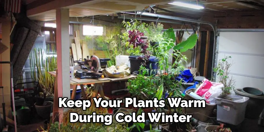  Keep Your Plants Warm During Cold Winter 