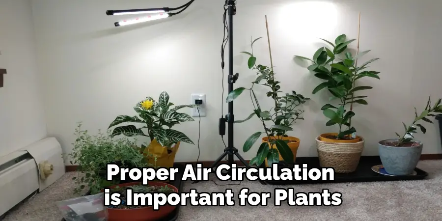Proper Air Circulation is Important for Plants