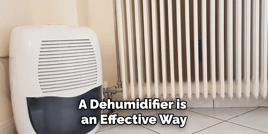 A Dehumidifier is an Effective Way