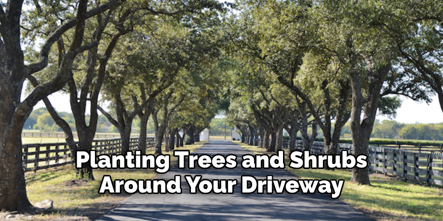 Planting Trees and Shrubs Around Your Driveway