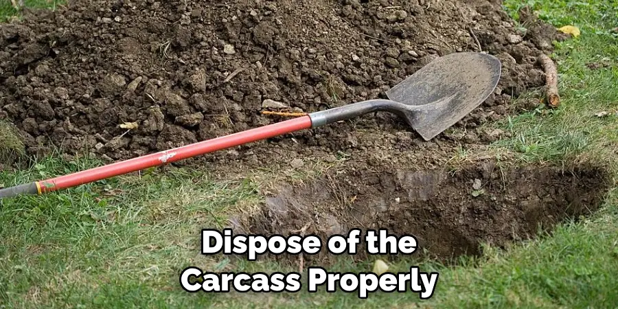 Dispose of the Carcass Properly