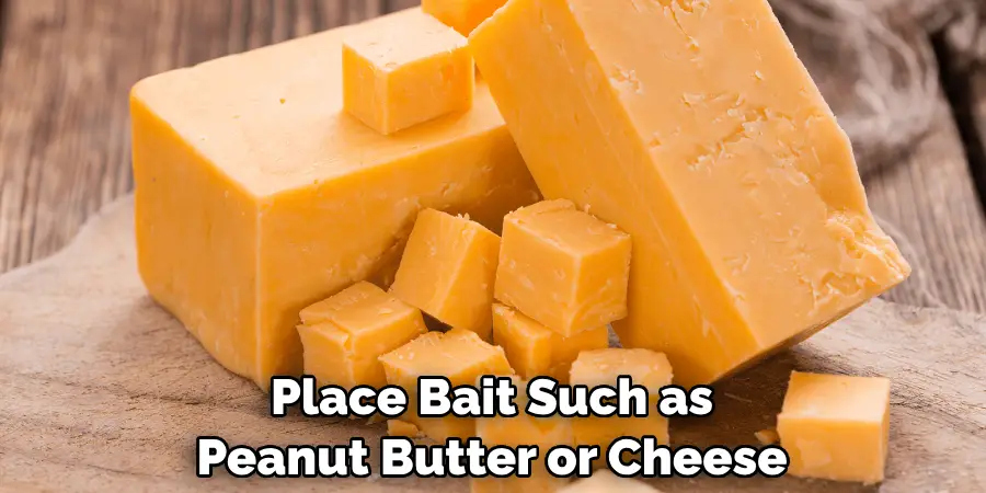 Place Bait Such as Peanut Butter or Cheese