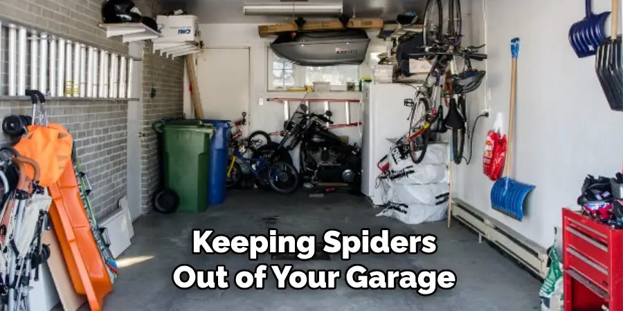 Keeping Spiders Out of Your Garage