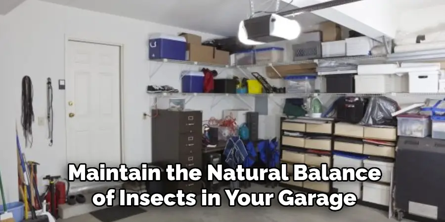 Maintain the Natural Balance of Insects in Your Garage