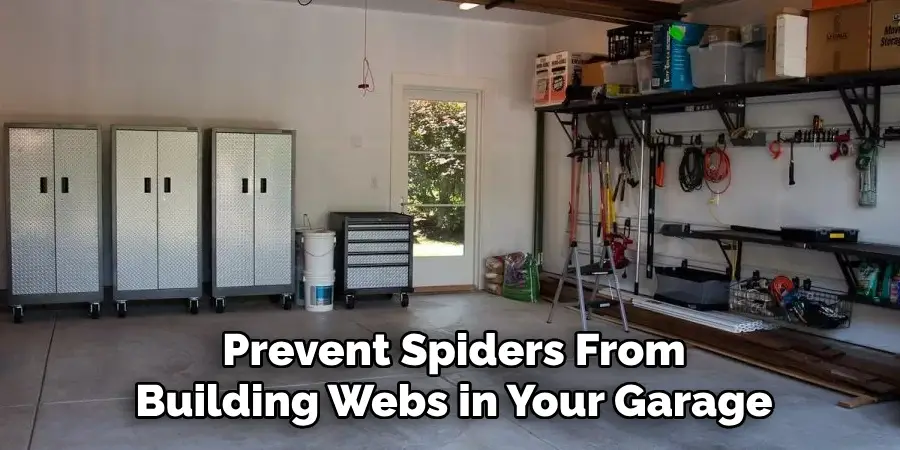 Prevent Spiders From Building Webs in Your Garage