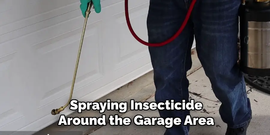 Spraying Insecticide Around the Garage Area