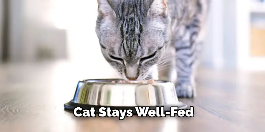 Cat Stays Well-fed