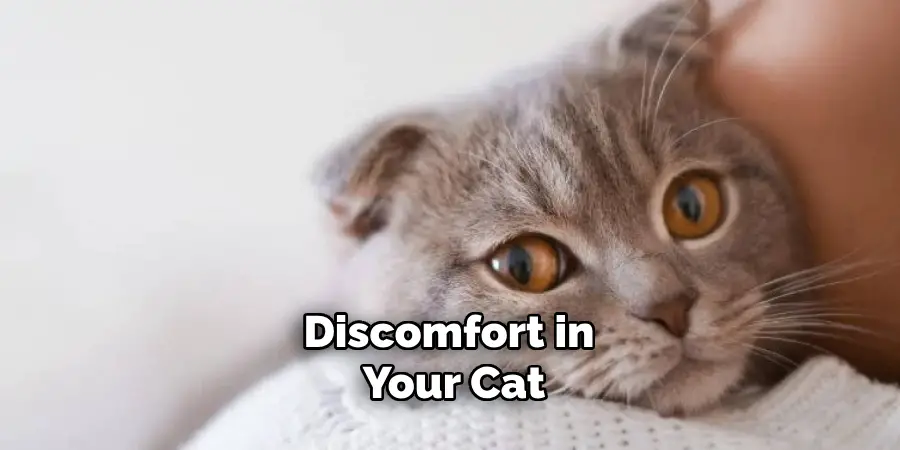 Discomfort in Your Cat