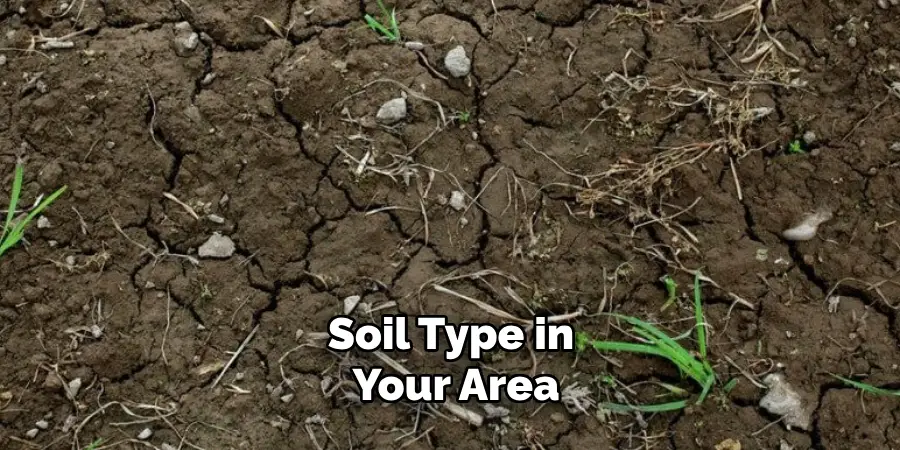 Soil Type in Your Area