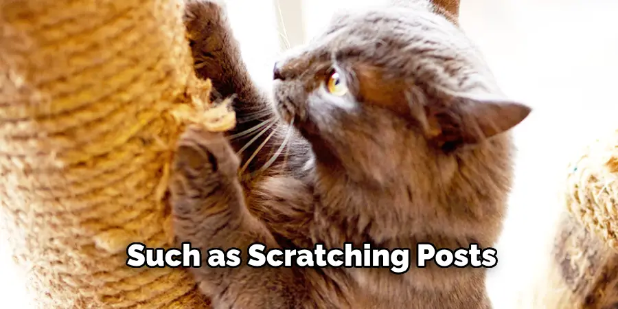 Such as Scratching Posts