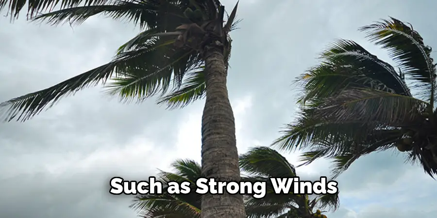 Such as Strong Winds